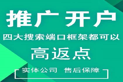 百度SEO推广公司案例：如何快速提升网站排名