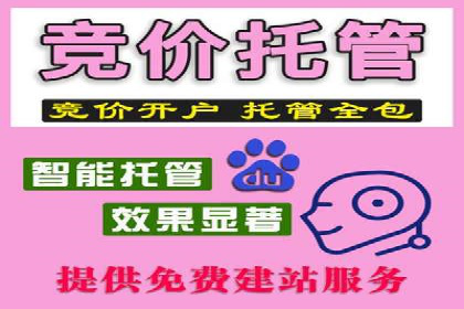 某电商平台的SEM竞价专员成功案例分享